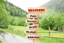 Code-1258 Professional Diploma Strategic Planning for Drug Control and Rehabilitation of the Recover