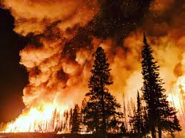 Code-1262 Professional Diploma In Crisis And Disaster Management