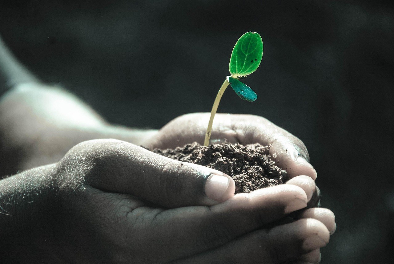 ISO 14040REA — Life Cycle Assessment for Rare Earths