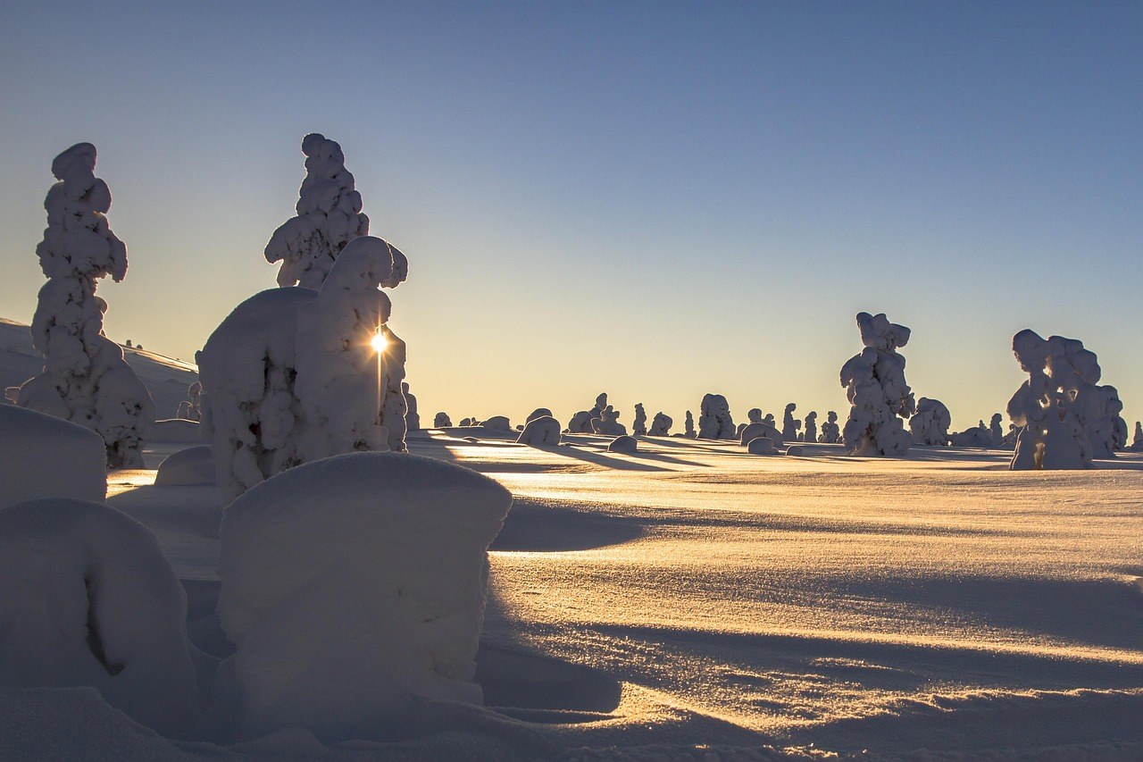 ISO 4355 — Bases for Design Determination of Snow Loads on Roofs